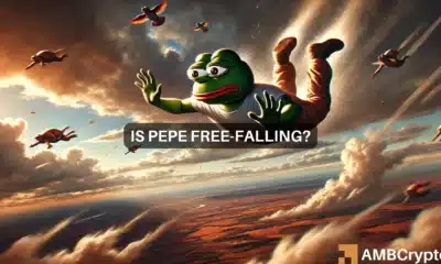 PEPE rejected at $0.00000920, falls nearly 10% in 24 hours: What now?