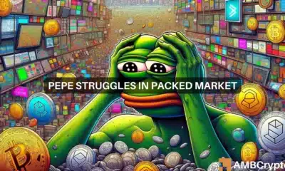 Should you bet on PEPE? What H2 holds for the memecoin