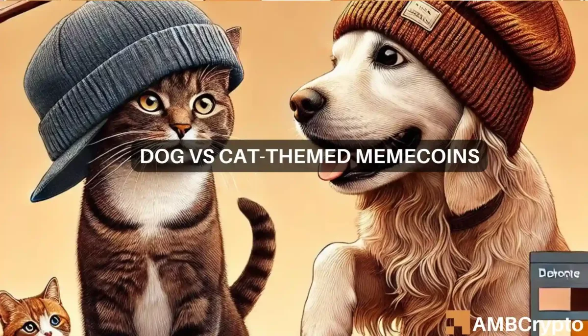 Dogs vs cats rivalry take memecoins to $54 billion market cap