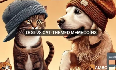 Dogs vs cats rivalry take memecoins to $54 billion market cap