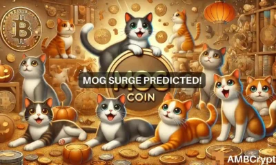 Mog Coin's 70% hike - All the reasons why its price can double soon