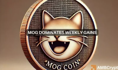 Mog coin smashes 100% gains in 7 days: Will MOG's bull run continue?