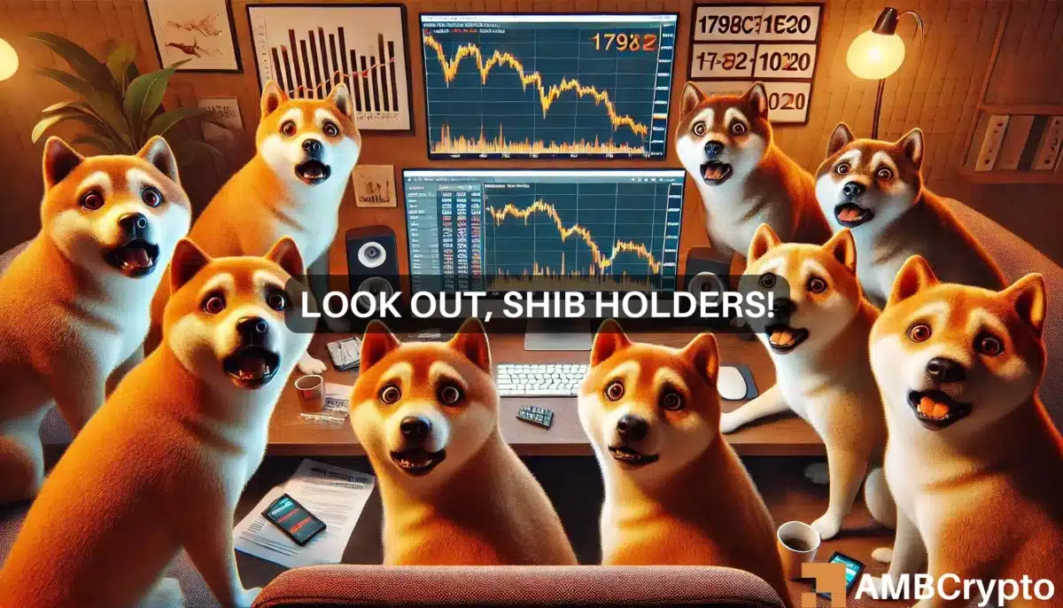 Shiba Inu's 28% fall - Memecoin's price can hit these levels IF...