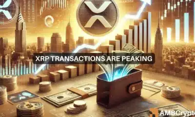 XRP up by 20%, XRPL transactions peaking - What's going on?