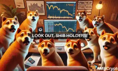 Shiba Inu's 28% fall - Memecoin's price can hit these levels IF...