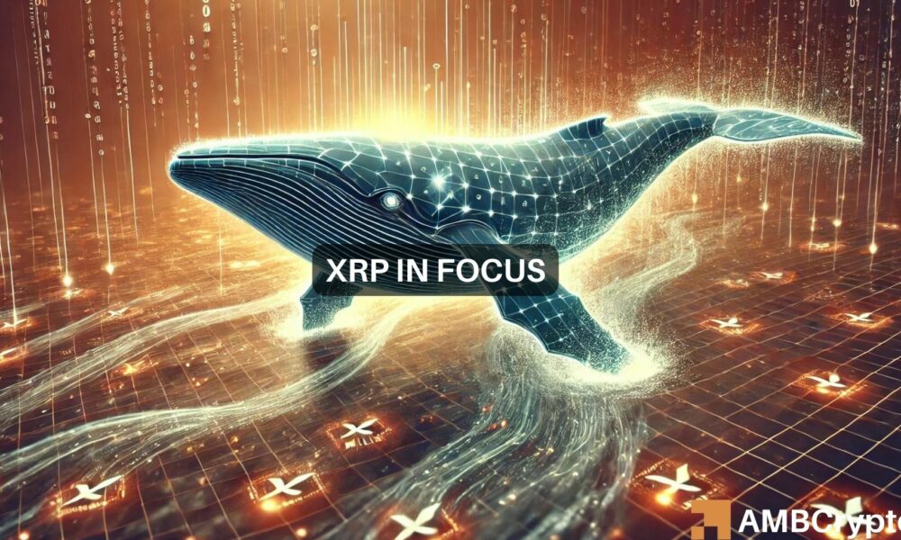 Is XRP turning bullish? Whale moves 30M tokens as price eyes $0.5