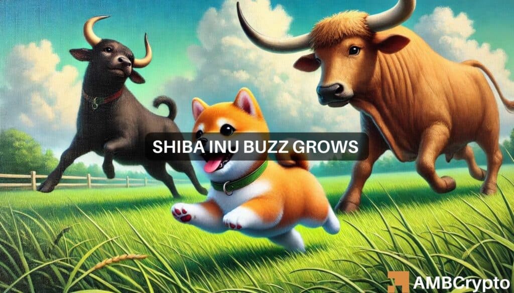 Shiba Inu