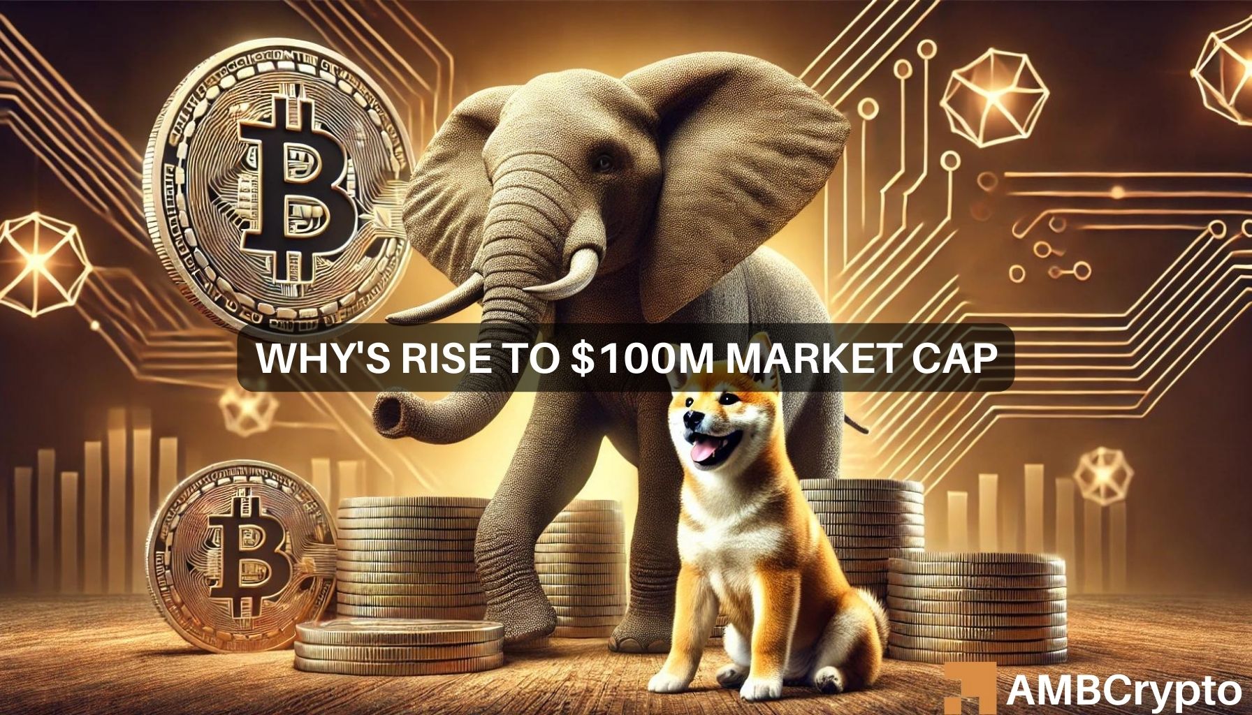 WHY memecoin: Can it be the next Dogecoin after touching $100M?