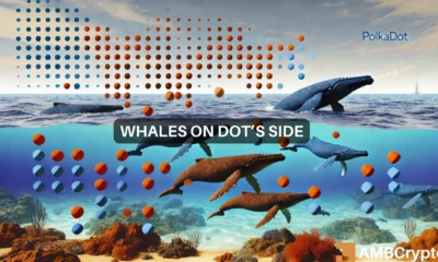 How and why DOT's whales dictated altcoin's 9% price hike