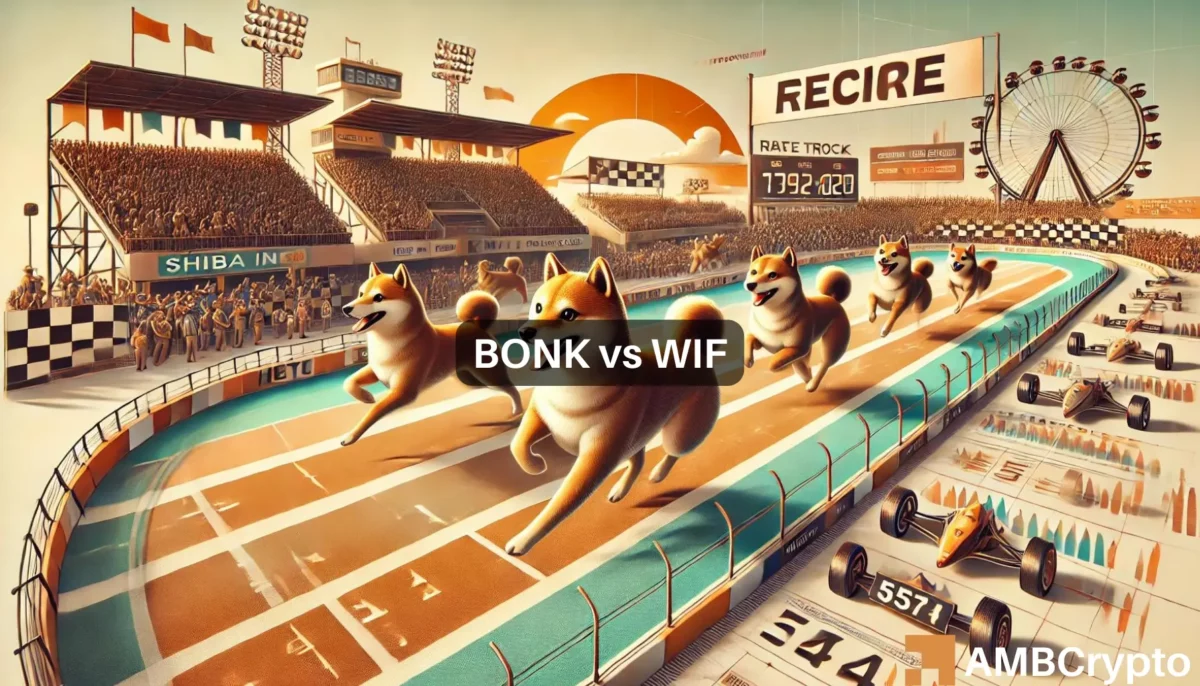 BONK vs WIF