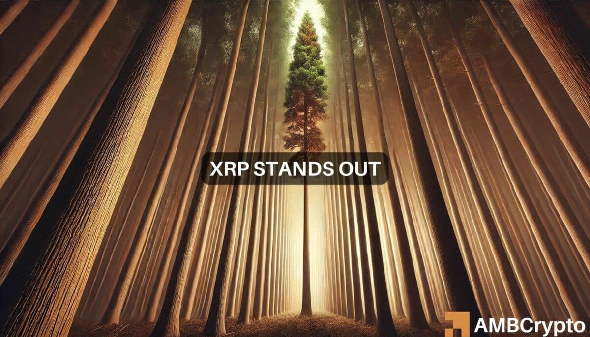 XRP