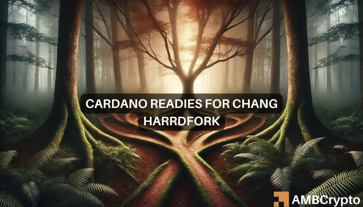 Cardano