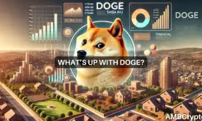 Dogecoin's 'post-halving wave' coming? Why DOGE analysts are bullish