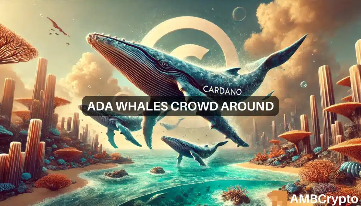 Cardano whale activity surges 1218% in 7 days - What about ADA?