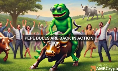 PEPE bulls are back in action