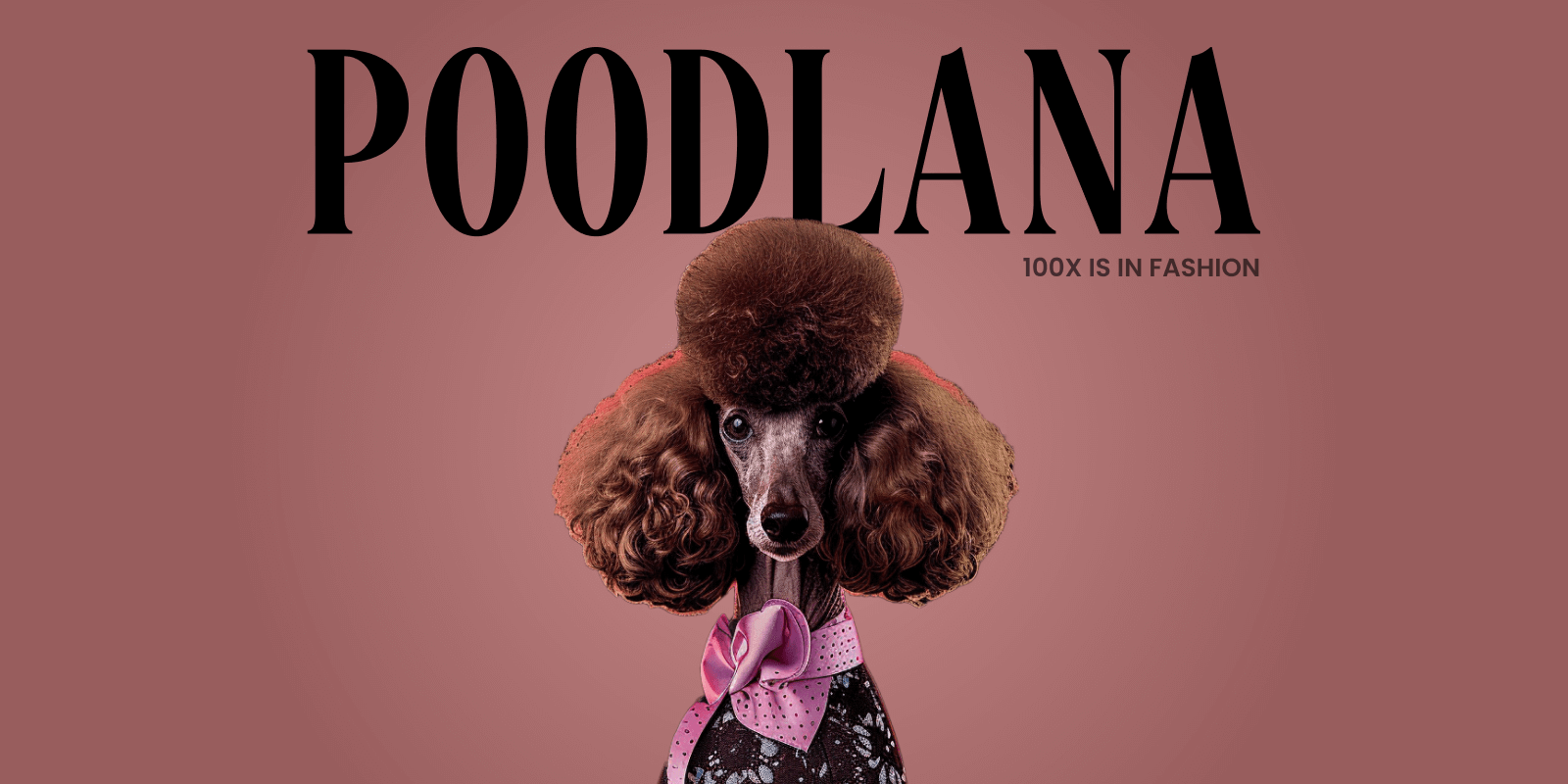 Poodlana’s Rapid Rise: $1m Raised in Less Than a Day