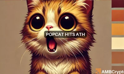 Popcat's price peaks but volumes wane: A short-lived rally?