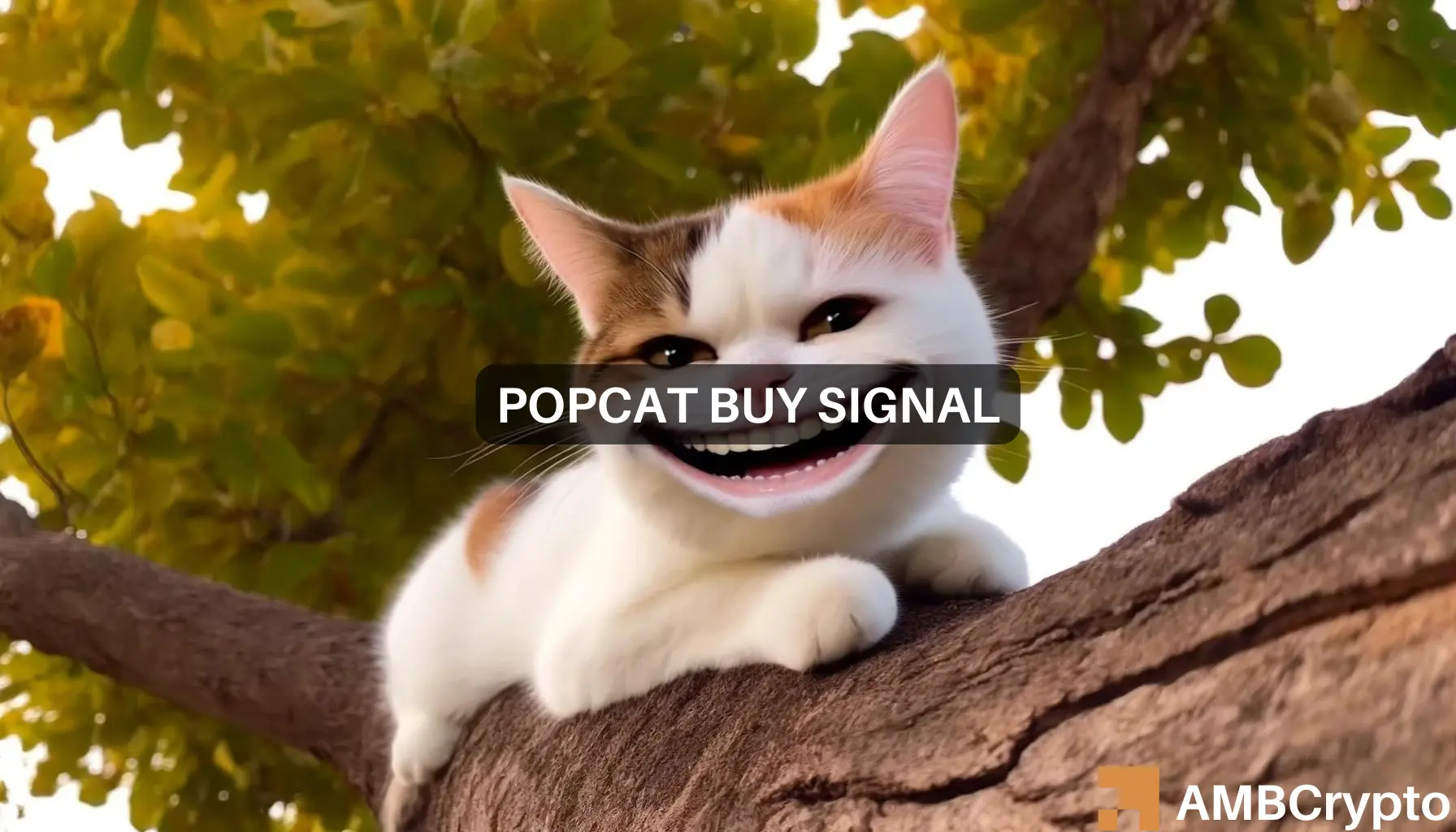 Popcat Nears $1 Resistance: Should Traders Prepare for a Potential Price Pullback?