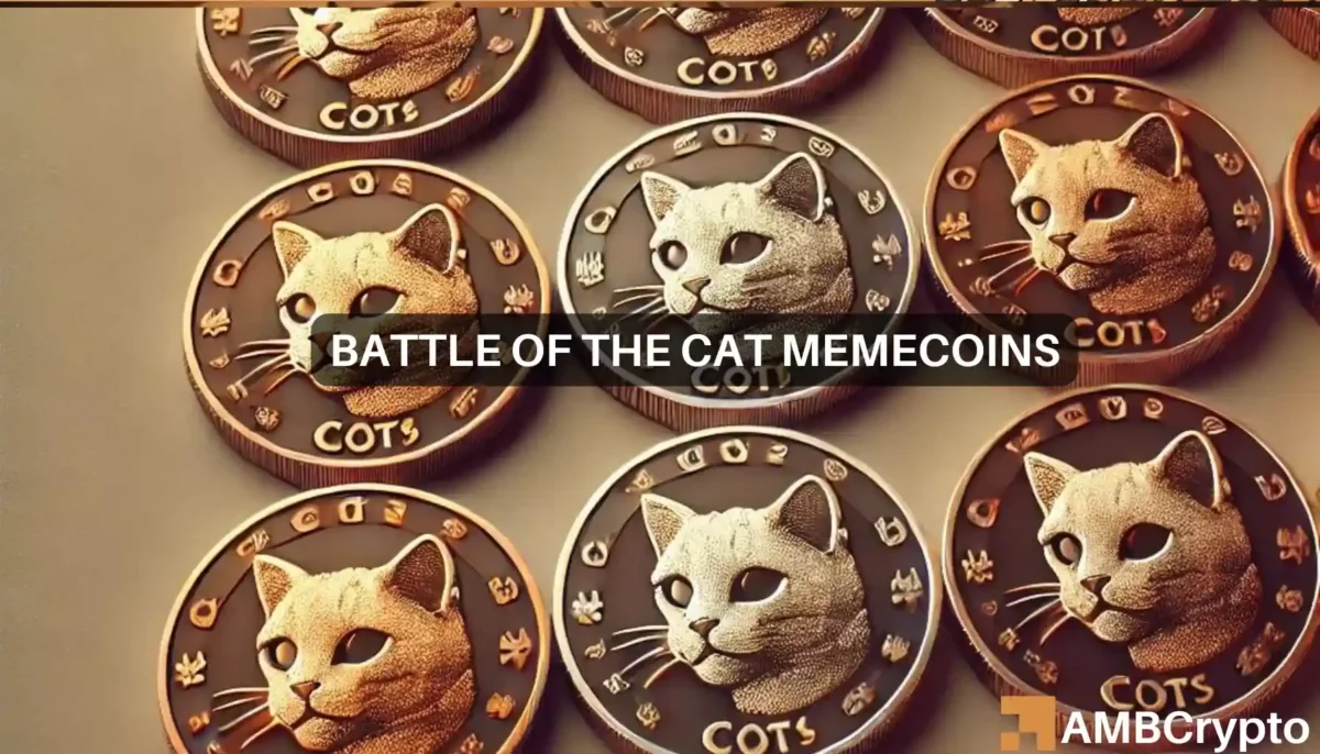 MEW vs. POPCAT - Odds of a flippening in the memecoin sector are...