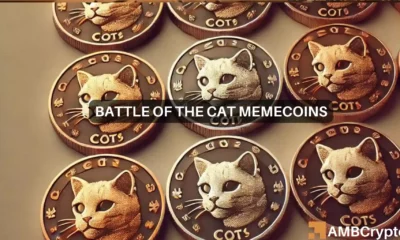 MEW vs. POPCAT - Odds of a flippening in the memecoin sector are...