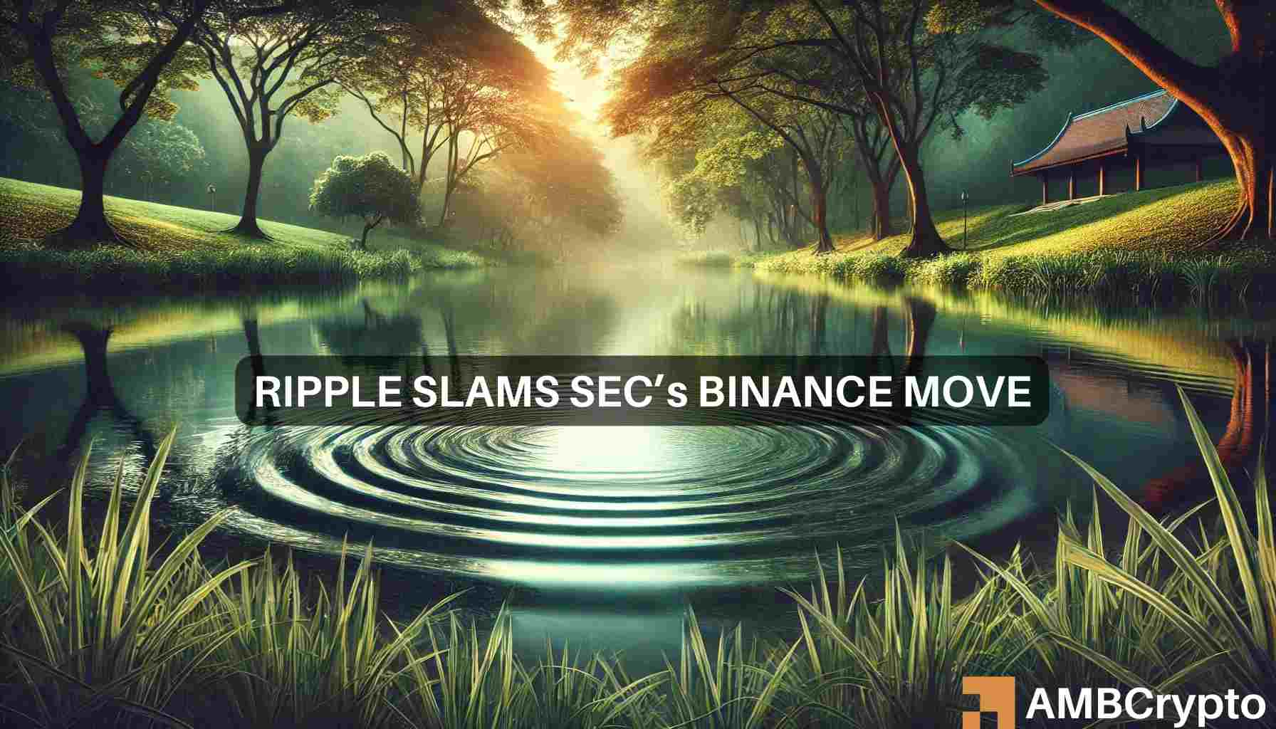 Solana, Cardano ‘left out to dry’ in SEC-Binance case, claim Ripple execs