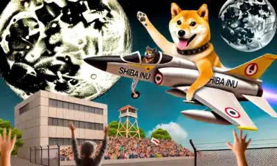 Shiba Inu's 'hype train' - Assessing why SHIB's whales are '150%' on board