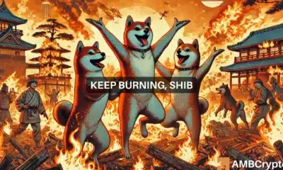 Why Shiba Inu's 482% burn rate surge probably wasn't enough for SHIB's price