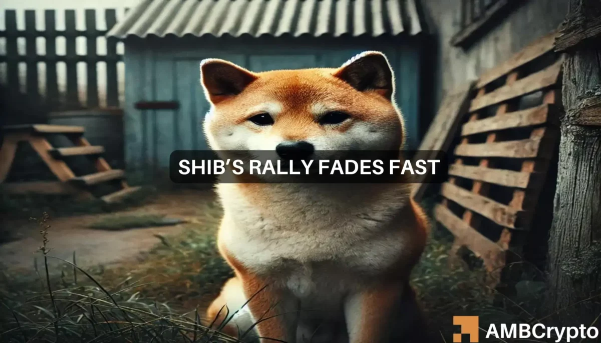 Shiba Inu gives bearish signals, loses all the gains made in the past two weeks