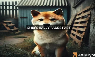 Shiba Inu gives bearish signals, loses all the gains made in the past two weeks