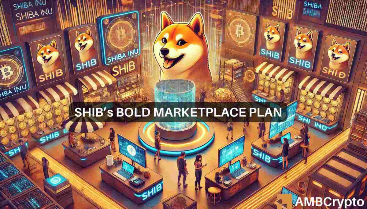 Shiba Inu update