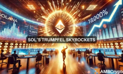 SOL's TRUMPFEL Skyrockets