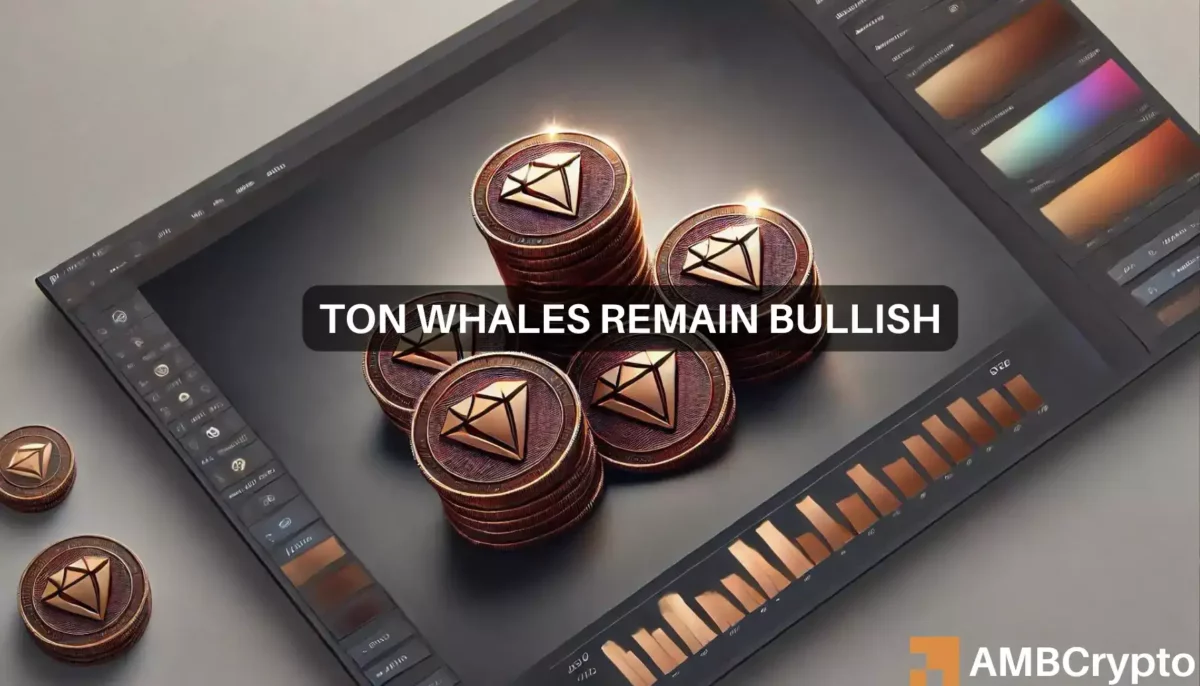 Toncoin nears record high as whales ramp up holdings