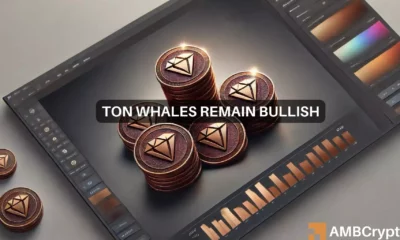 Toncoin nears record high as whales ramp up holdings