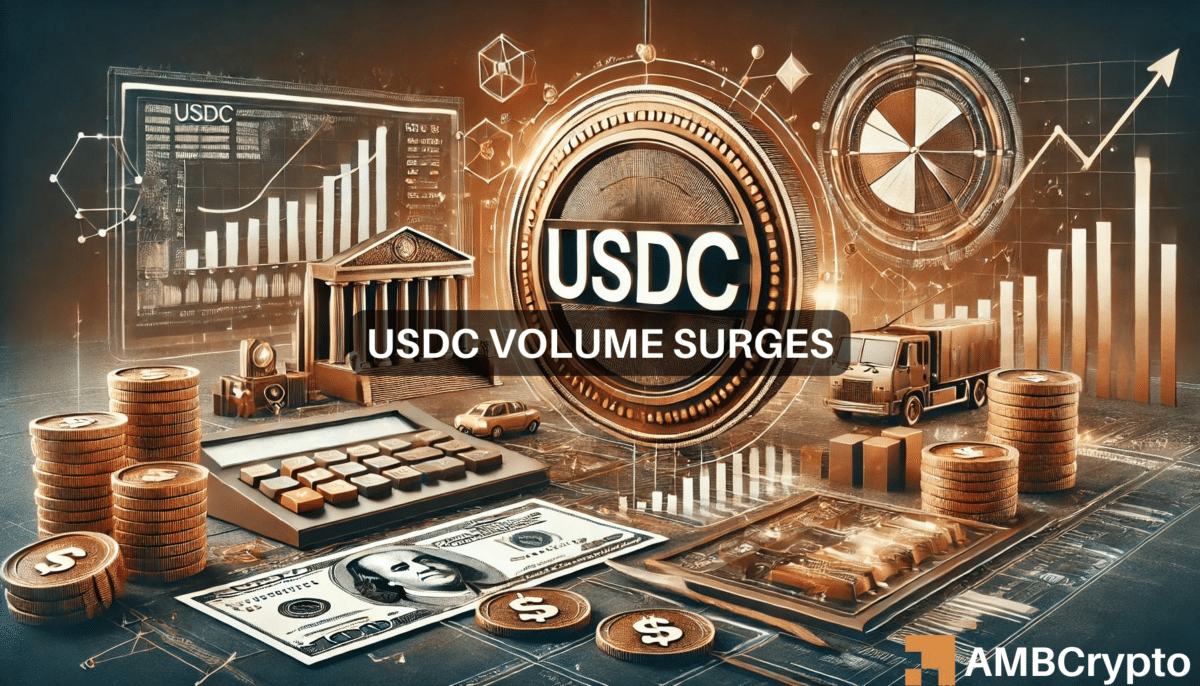 USDC volume surges to $23B in 2024: What are the reasons behind the rise?