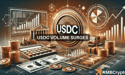 USDC volume surges to $23B in 2024: What are the reasons behind the rise?