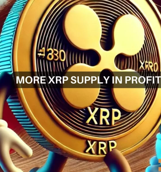 XRP stabilizes at $0.6: Will this group push the altcoin to $1?