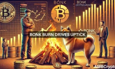 BONK news today: Token burn proposal bumps the memecoin by 23%