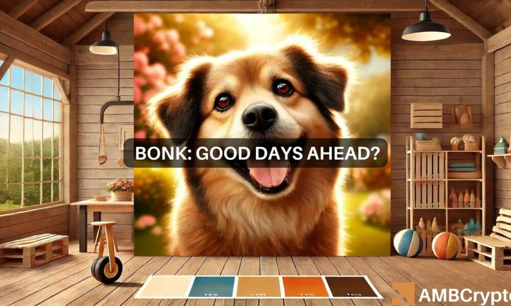 BONK surges 25% in 7 days: Is $0.000025 the memecoin’s next target?