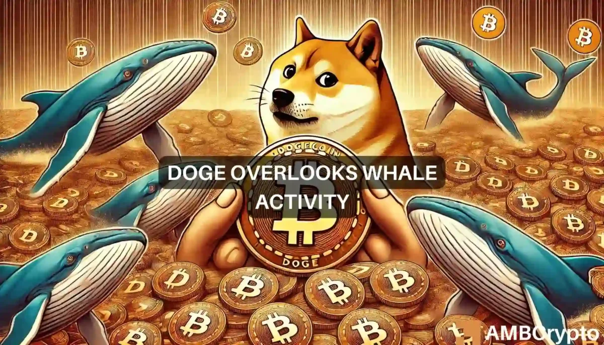 Dogecoin whale accumulation surges 868%: Will this help DOGE's price?