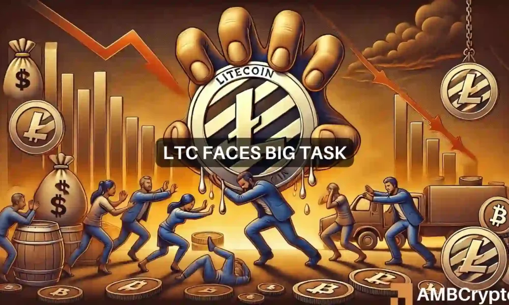 Litecoin – Large withdrawals and how they could affect LTC price action