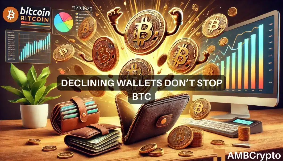 Bitcoin: Why a declining number of wallets can't stop BTC's rebound