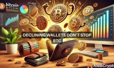 Bitcoin: Why a declining number of wallets can't stop BTC's rebound