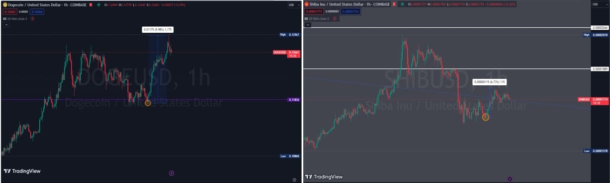 Les marchés du Dogecoin et du Shiba Inu connaissent de la volatilité – les baleines en sont-elles la raison ?