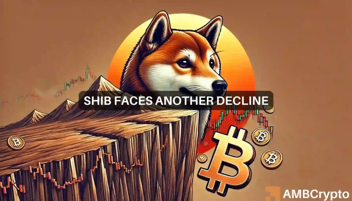 Reasons why Shiba Inu's price may fall again after brief uptrend