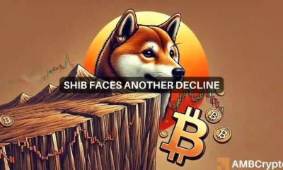 Reasons why Shiba Inu's price may fall again after brief uptrend
