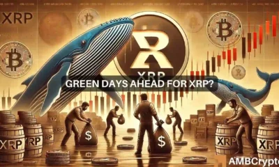 XRP whales rack up more tokens despite price fall: Recovery ahead?