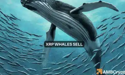 XRP whale watch: As 63M tokens move, sell-off fears expand