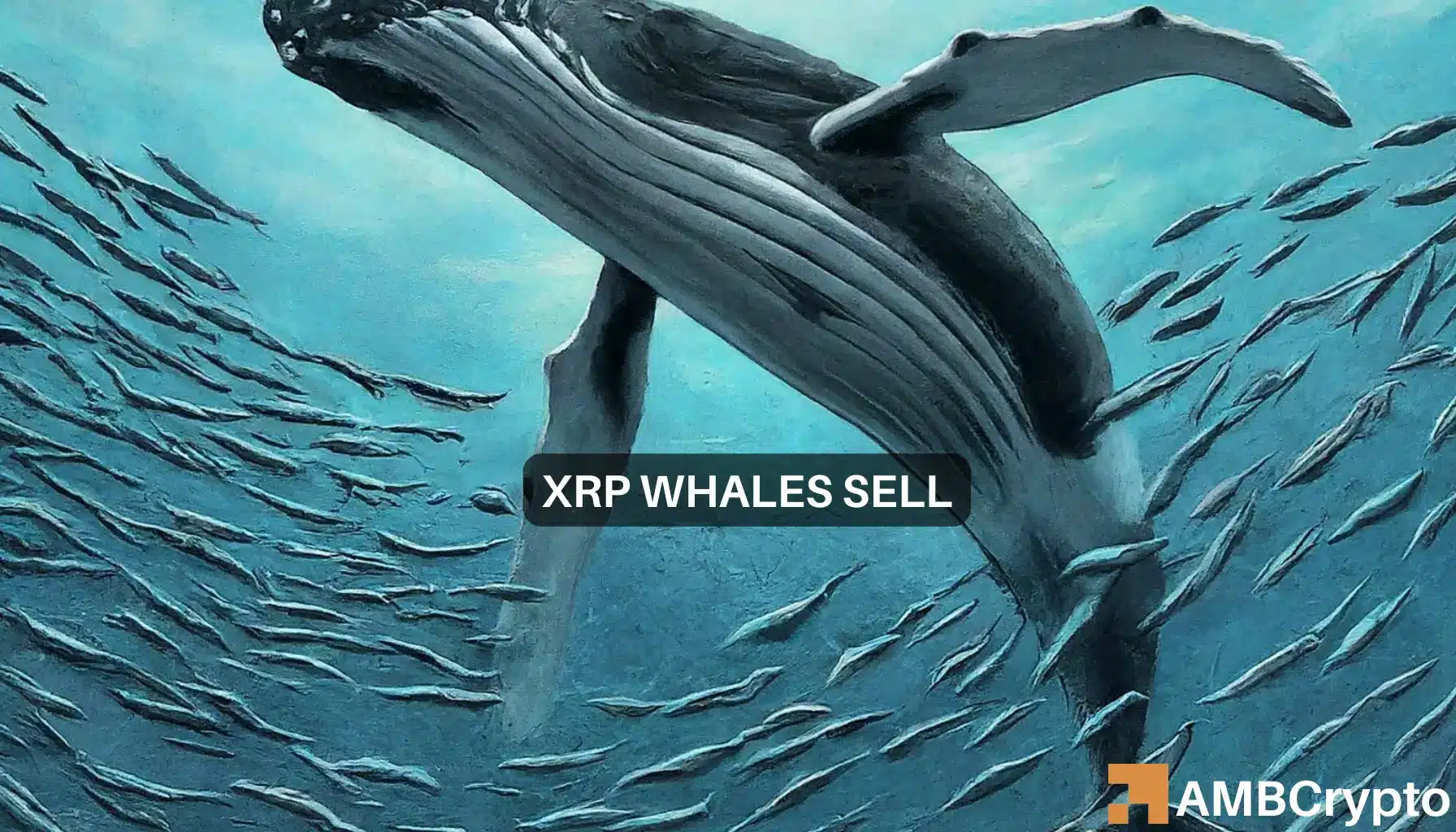 XRP whale watch: As 63M tokens move, is a sell-off coming?