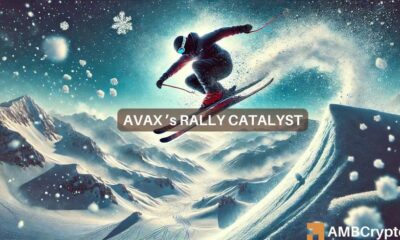 Avalanche: How institutional interest helped AVAX's price