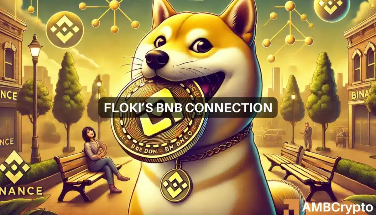 Can FLOKI mirror BNB's success? What these key levels suggest